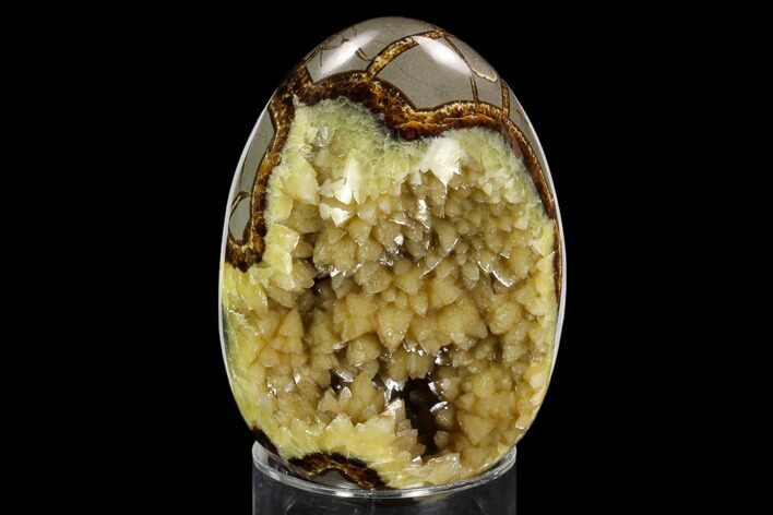 Calcite Crystal Filled Septarian Geode Egg - Utah #123844